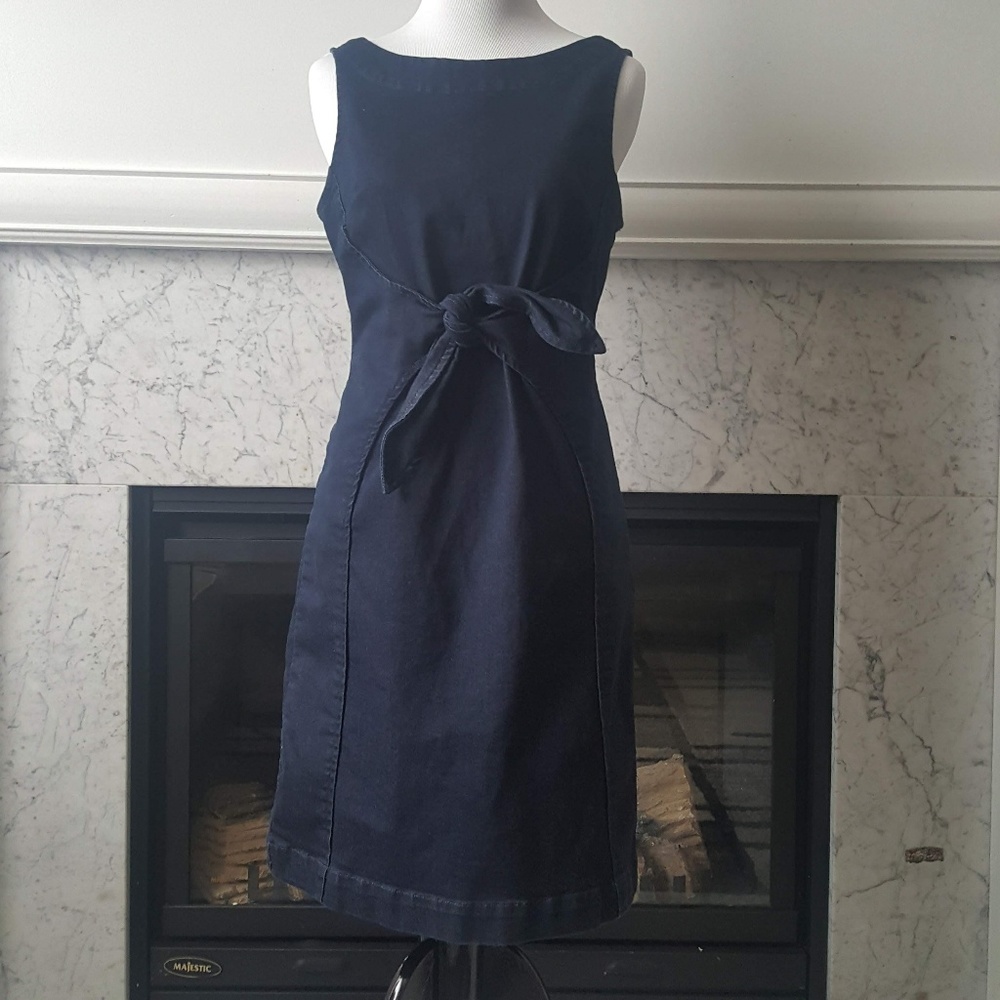 Holding Horses Denim Dress 2